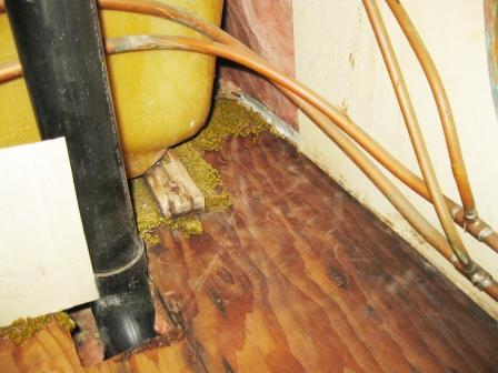 1970 Silver Streak Sabre