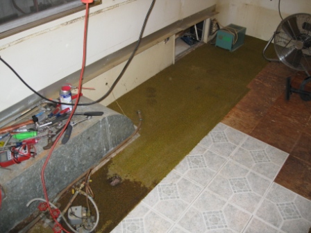 1970 Silver Streak Sabre